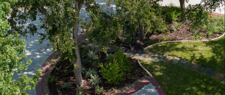 Landscape bed with various plants on a property in New Braunfels, TX.