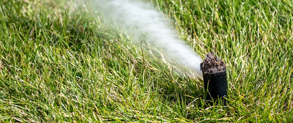 Blowing water out of an irrigation sprinkler head in Las Cruces, NM.
