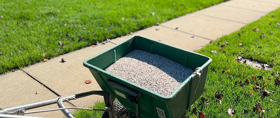 Granular fertilizer on a spreader on a lawn in Matthews, NC.