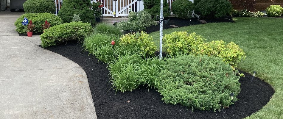 Residential landscaping at a small home in Maineville, OH.