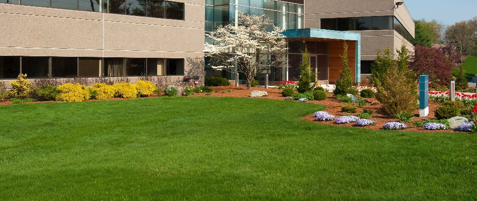 Commercial property in Colchester, CT, with vibrant landscaping.