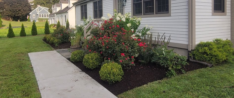 Flowers and shrubs on a landscape bed in Colchester, CT.