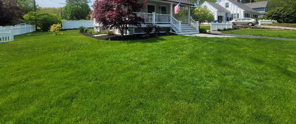 Lush and neat grass in Colchester, CT.