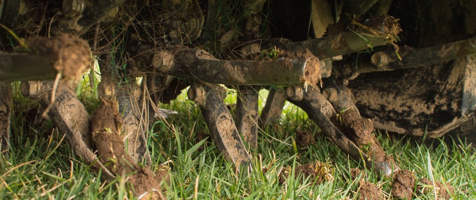 Closeup of core aerator tines in Delaware, OH.