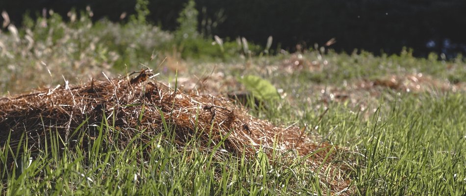 Debris on a lawn in Mansfield, OH.