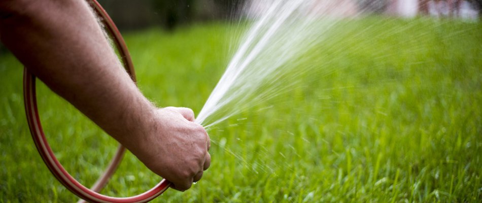 Person watering a lawn in Paradise Valley, AZ, with a hose.