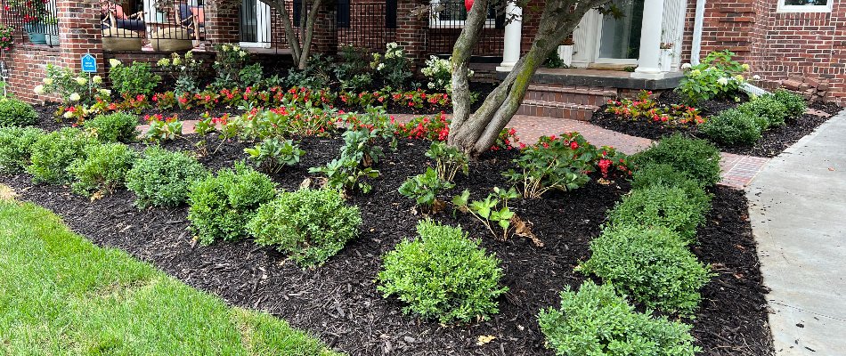 Colorful landscape bed in Omaha, NE, with mulch and plants.