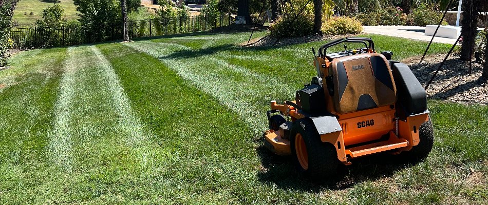 Mower on newly mowed grass in Matthews, NC.