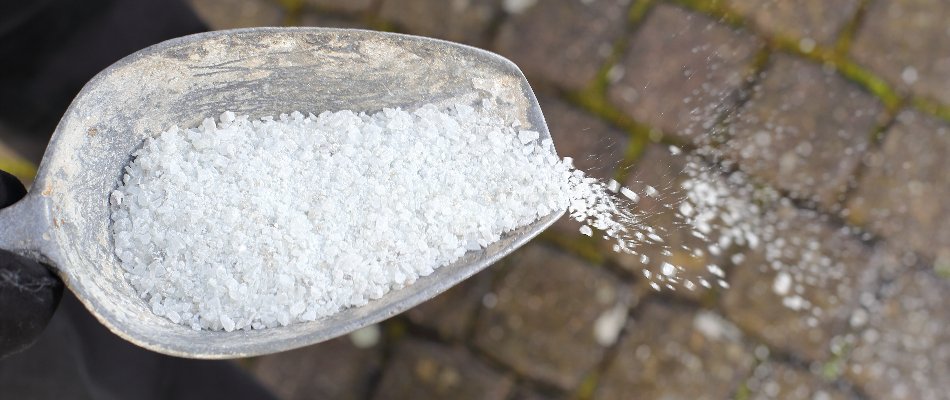 Applying a deicing treatment on a surface in Matthews, NC.