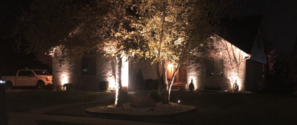 Uplighting technique on a tree in Macomb, MI.