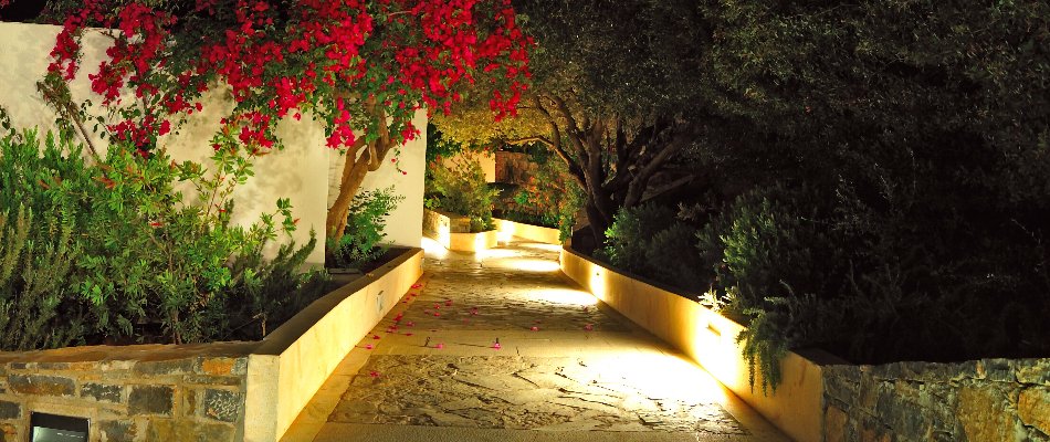 LED lights along a walkway in Mountain Brook, AL, with plants.