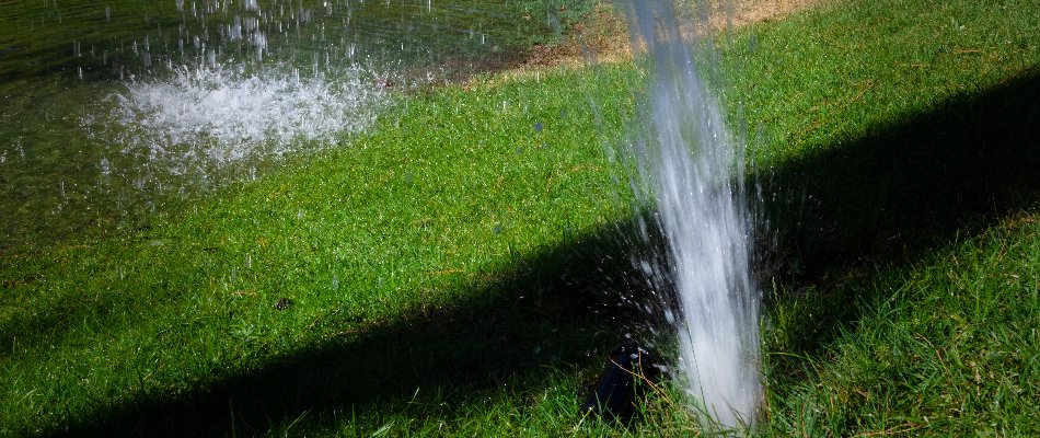 Water shooting from a lawn sprinkler in The Villages, FL.