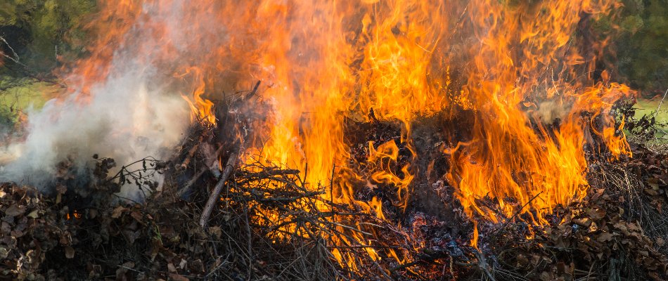 Smoke and fire from burning leaves in Cary, NC.