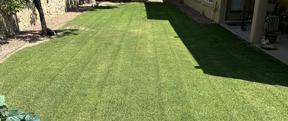 Lawn in partial shade with green grass in Las Cruces, NM.