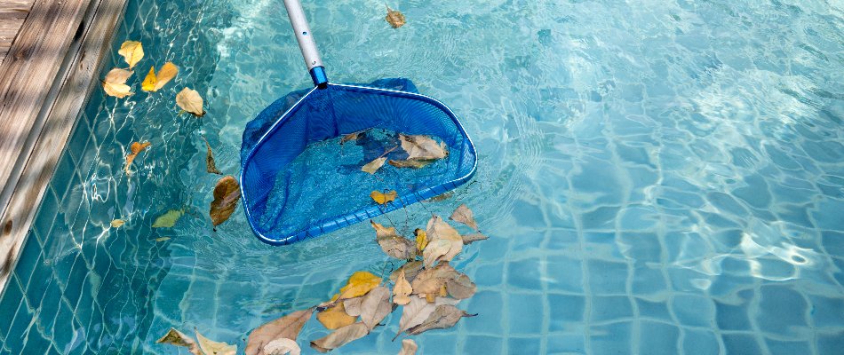 Skimming debris off a pool in Bridgehampton, NY.