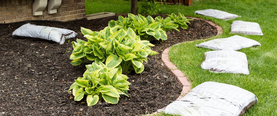 Mulch in a landscape bed in Tulsa, OK.