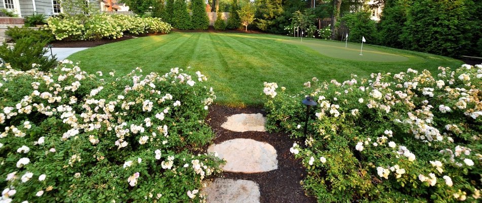 Lawn with a putting green and plants in a landscape in Mission Hills, KS.