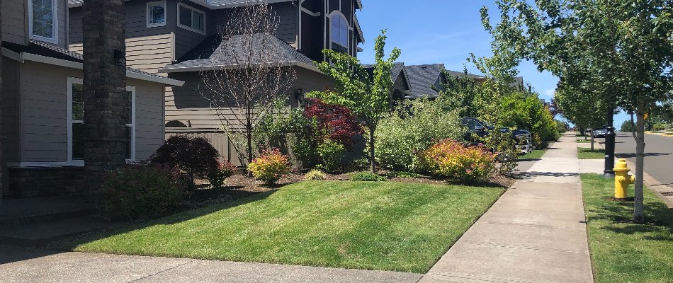 Nice lawn and landscaping on a property in Gresham, OR.