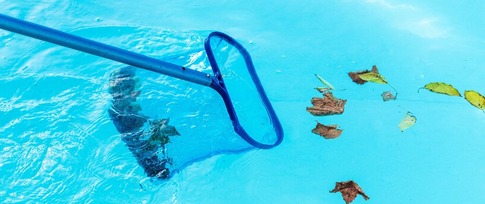 Skimming leaves from a pool in Bridgehampton, NY.