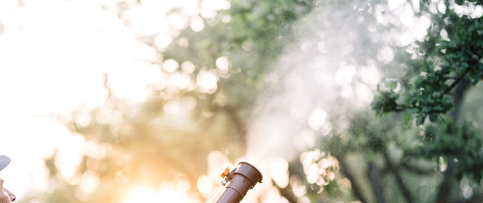 Mosquito control fogging on a property in Austin, TX.