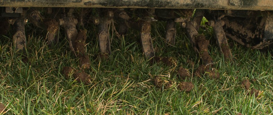 Tines of an aerator pulling soil plugs from a lawn in Mansfield, OH.