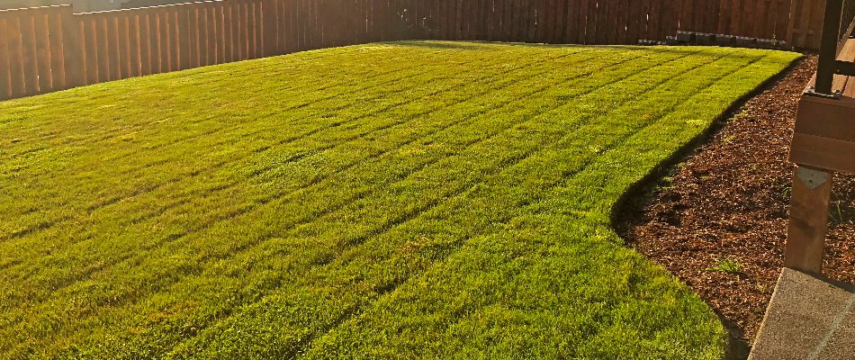 Freshly mowed lawn in a fenced yard in Gresham, OR.