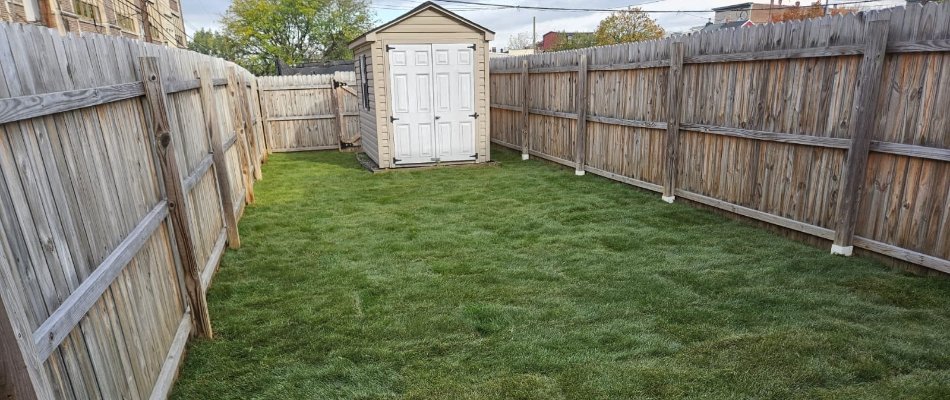 Sod lawn on property with shed in Macungie, PA.