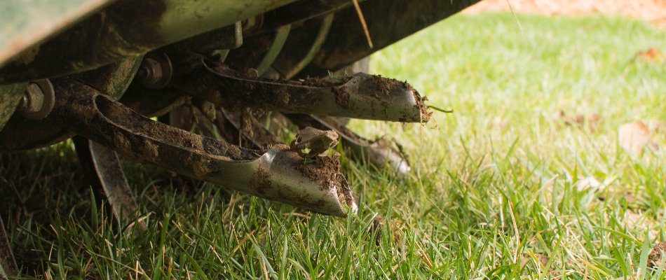 Closeup of aerator tines on a lawn in Gresham, OR.