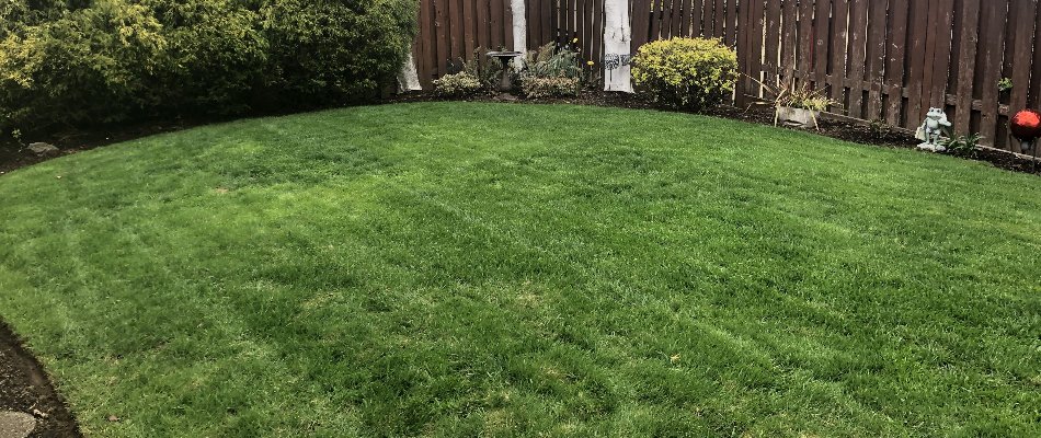 Green lawn in Gresham, OR, surrounded by landscape plants.