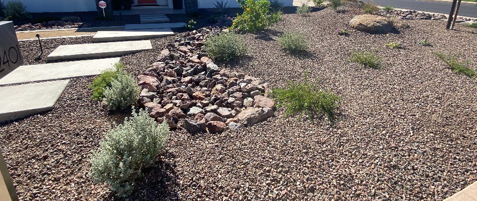 Rocks and plants in a front yard in Paradise Valley, AZ.