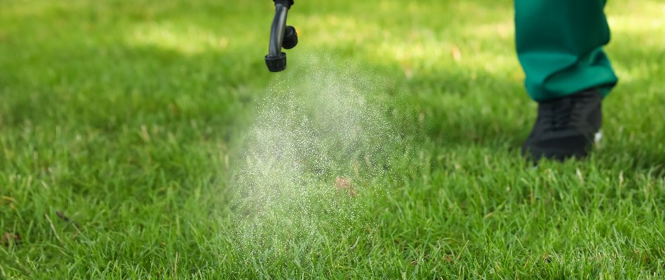 Spraying liquid fertilizer on grass in Austin, TX.