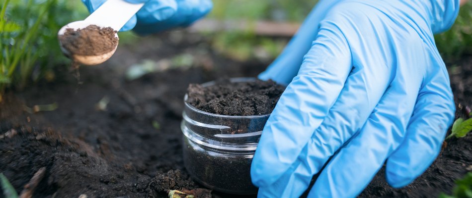 Person with blue gloves collecting a soil sample in Mansfield, OH.