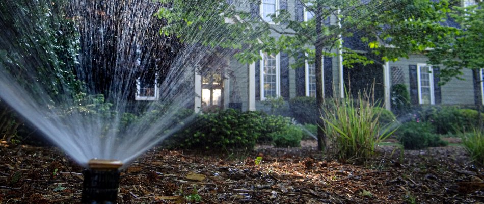 Closeup of a sprinkler head watering a landscape bed in Cary, NC.