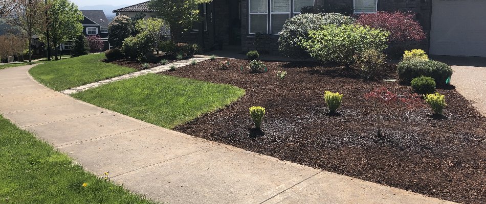 New landscape bed in Portland, OR, with mulch and plants.