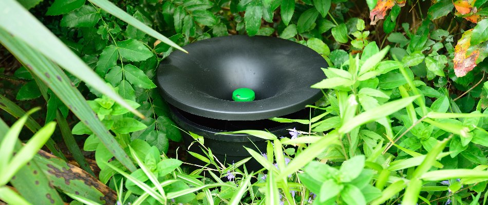 In2Care trap for mosquitoes in a yard in Miramar, FL.