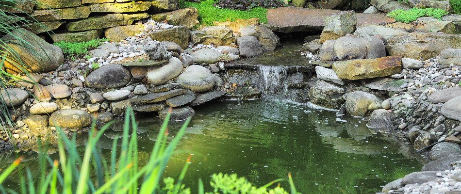 Pond in Cary, NC, surrounded by rocks and a small waterfall.