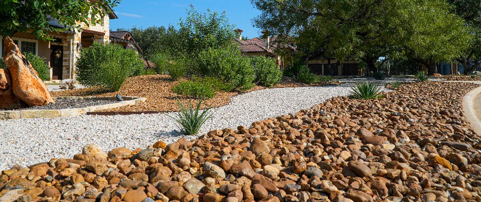 Xeriscaping with drought tolerant plants in New Braunfels, TX.
