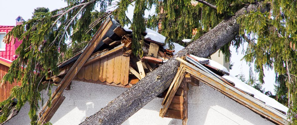 Fallen tree damaging a house in Paradise Valley, AZ.