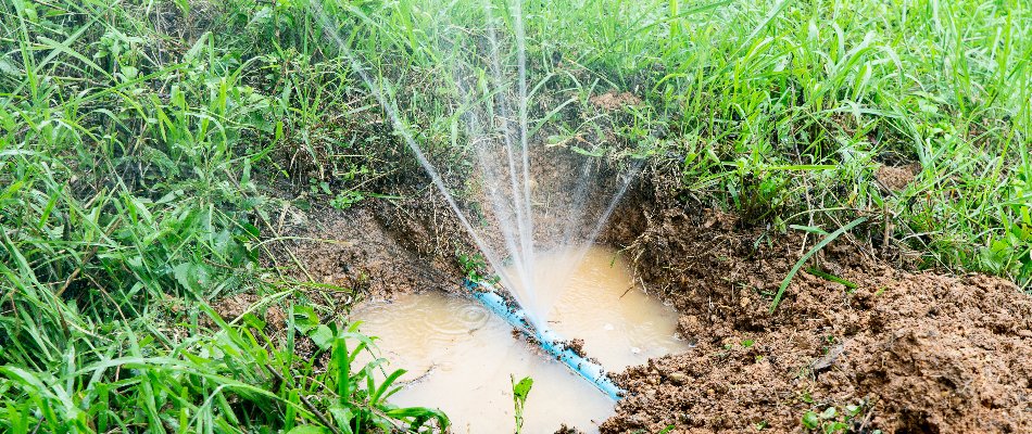 Pipe leak of an irrigation system in Macomb, MI, with a puddle.