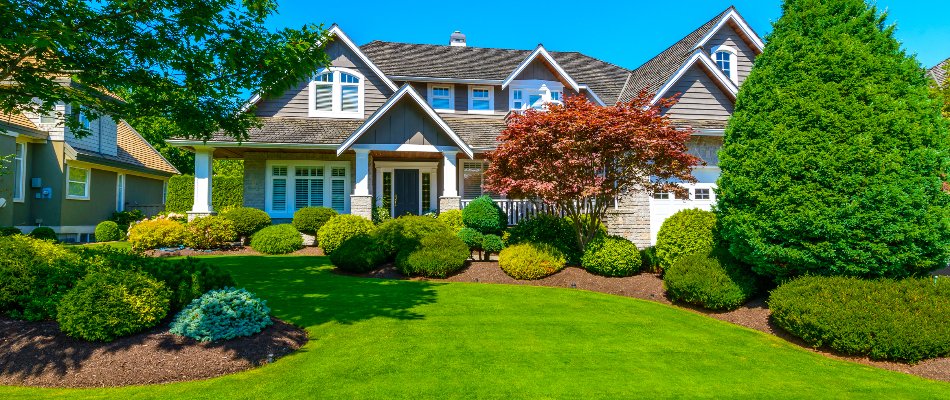 Front yard in Huntsville, AL, with a lawn and manicured shrubs.