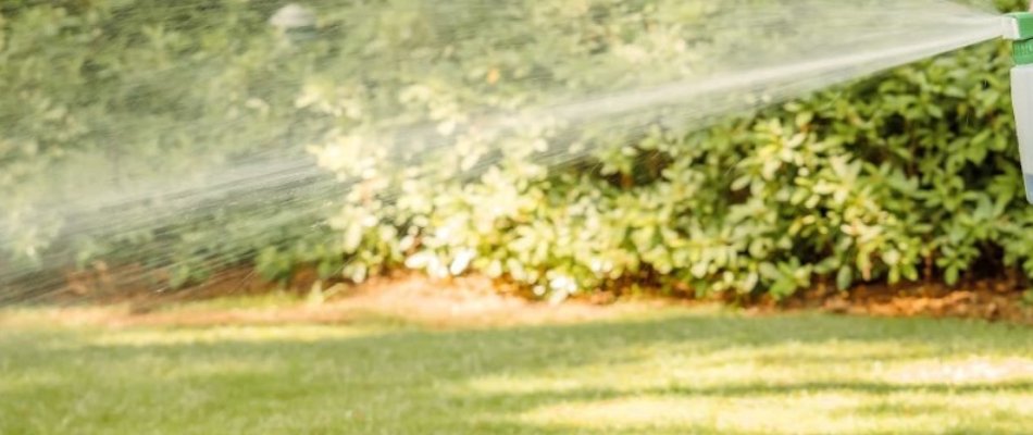 Professional spraying a liquid aeration treatment on a lawn in Macungie, PA.