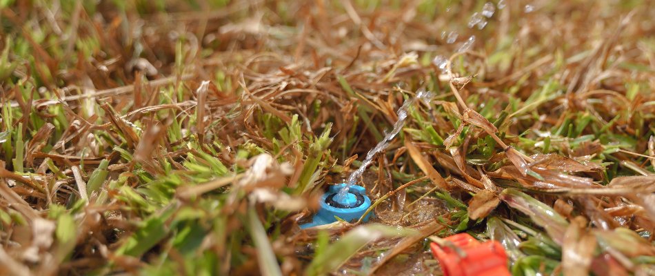 Irrigation sprinkler head in Las Cruces, NM, with low water pressure.