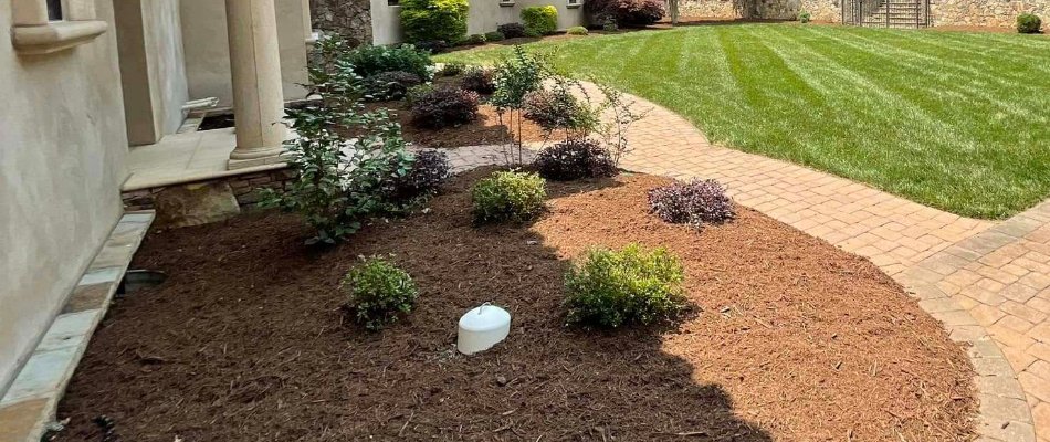 Landscape bed in Matthews, NC, with mulch and small plants near a lawn.