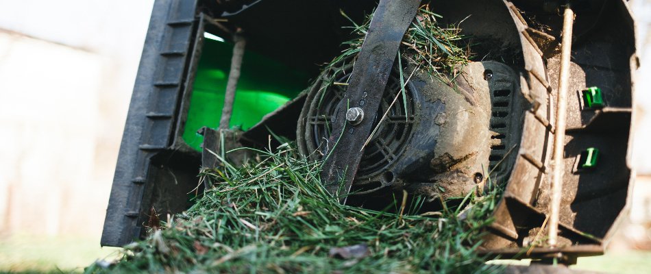 Mower clogged with wet grass blades in Paradise Valley, AZ.