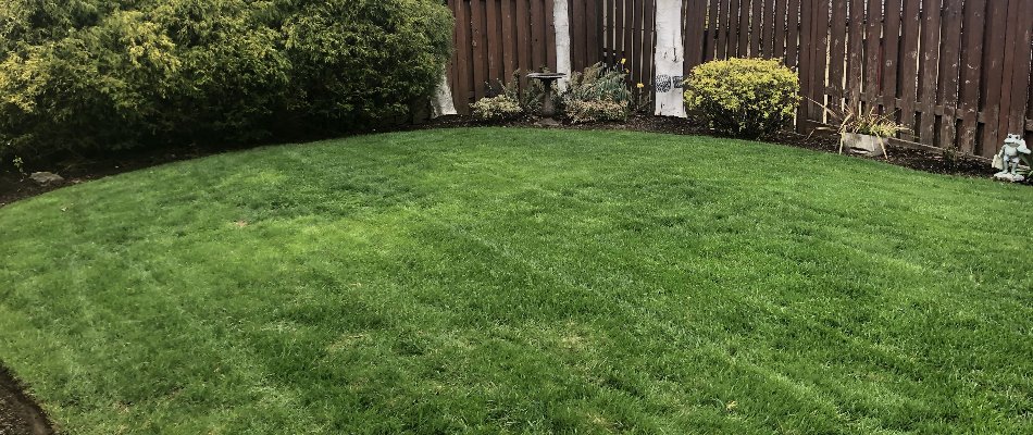 Plants and a dense green lawn in Gresham, OR.