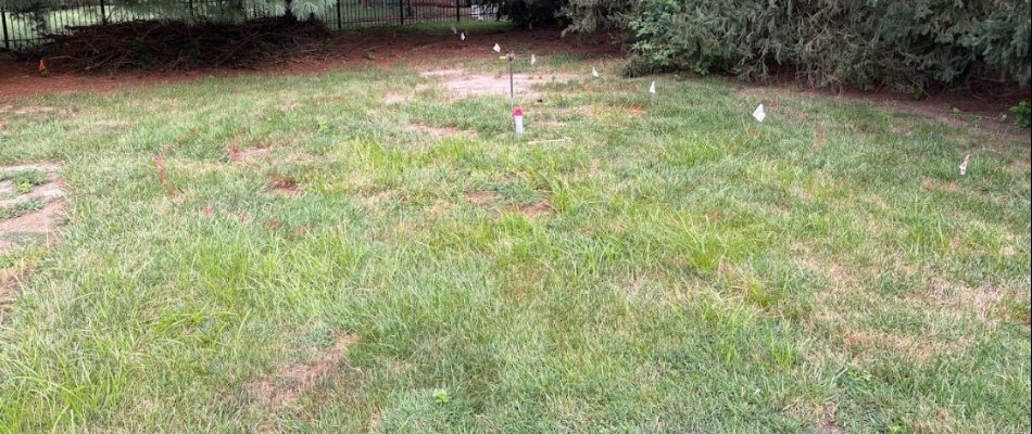 Backyard in Bethalto, IL, before patio project.