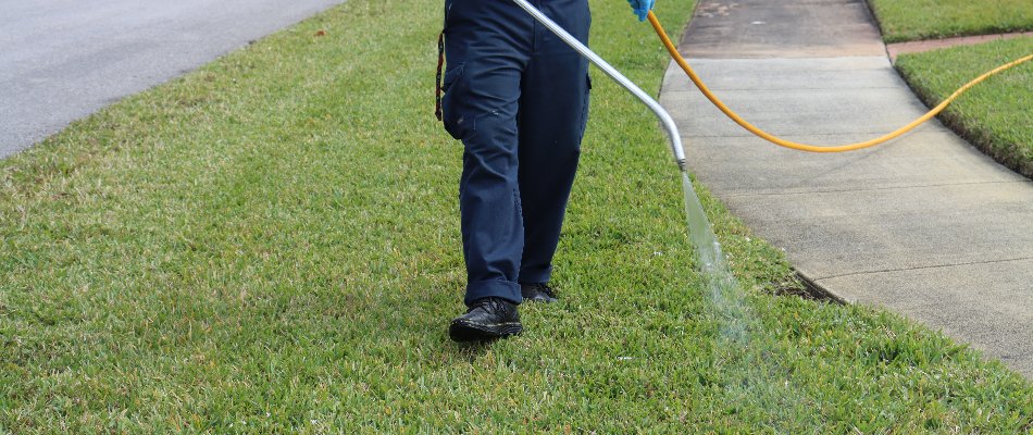 Preventative lawn disease control treatment being applied on a lawn by a professional in Miramar, FL.