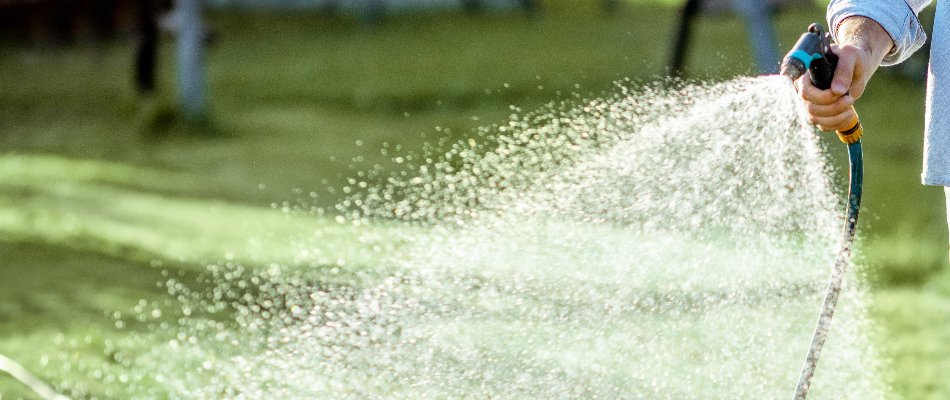 Person watering a newly overseeded lawn in Edwardsville, IL.