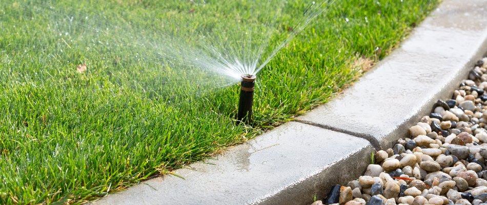 Sprinkler head spraying water on a lawn near a curb in Paradise Valley, AZ.