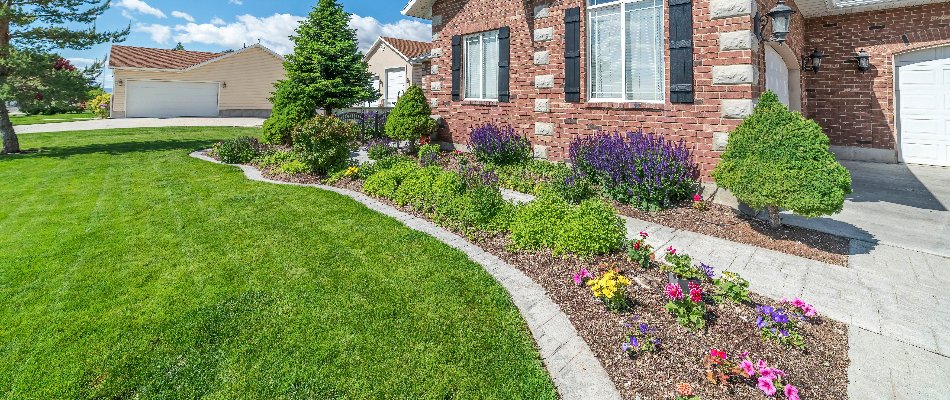 Landscape bed in Groton, CT, with shrubs and flowers.
